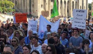 Avignon : 700 personnes réunies pour le climat devant le palais des papes