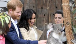 Australie: Harry et Meghan rencontrent des koalas