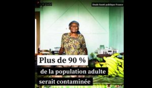 En Martinique, le chlordécone un "scandale environnemental"