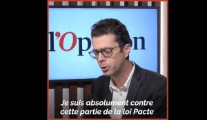 Loi Pacte et objet social de l'entreprise: «C'est la pire des déresponsabilisations !» estime Nicolas Bouzou