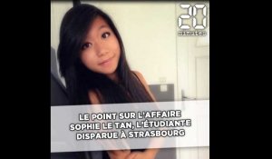 Strasbourg: Le suspect arrêté après la disparition de Sophie Le Tan mis en examen