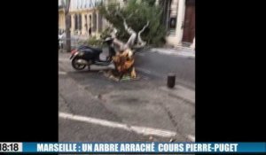 Marseille : un arbre arraché barre le cours Pierre-Puget