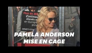 Pamela Anderson mise en cage lors d'un happening