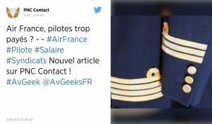 Air France. Cent pilotes de ligne sont payés plus de 300 000 euros par an.