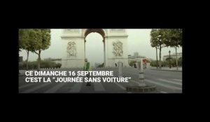 La "journée sans voiture" a-t-elle (vraiment) un effet sur la pollution à Paris ?