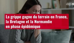 VIDÉO. La grippe gagne du terrain en France, la Bretagne et la Normandie en phase épidémiq