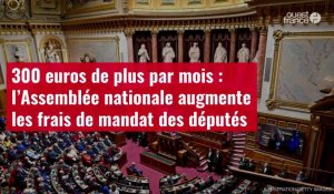 VIDÉO. 300 euros de plus par mois : l’Assemblée nationale augmente les frais de mandat des députés