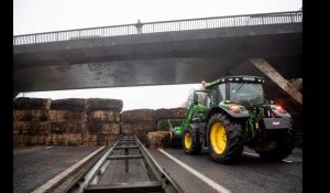 VIDÉO. « Tenir le plus longtemps possible » : les agriculteurs bloquent la RN165 à Quimper