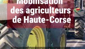 Bastia : le convoi des agriculteurs pénètre dans le centre-ville