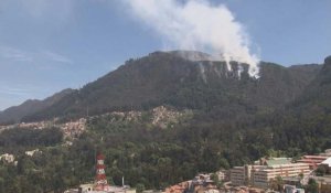Colombie : les incendies ont déjà détruit 172 km2 de forêts