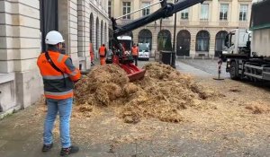 Reims : 40 tonnes de fumier déversées par les agriculteurs devant la sous-préfecture
