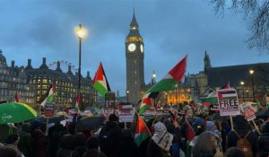Manifestation devant le Parlement britannique pour exiger un cessez-le-feu à Gaza