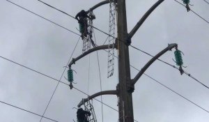 Perchés à 15 m de hauteur les mignards du réseau transport d’électricité interviennent sur une ligne à haute tension