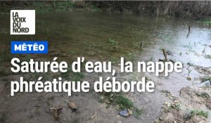 Pas-de-Calais : une nappe phréatique saturée fait craindre des inondations près d'Arras