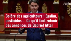 VIDEO. Colère des agriculteurs : Egalim, pesticides… Ce qu’il faut retenir des annonces de G. Attal