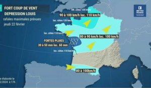 5000 foyers privés d'électricité au plus fort de la tempête Louis dans les Ardennes