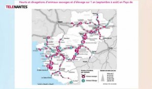 Quels projets en 2024 pour la SNCF en Bretagne-Pays de la Loire