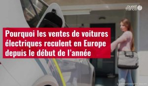 VIDEO. Pourquoi les ventes de voitures électriques reculent en Europe depuis le début de l'année