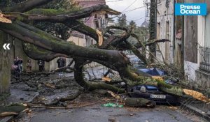 VIDÉO. Tempête Louis à Nantes : le propriétaire de la Twingo bleue écrasée par un arbre témoigne