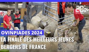 Ovinpiades 2024 : La finale des meilleurs jeunes bergers de France