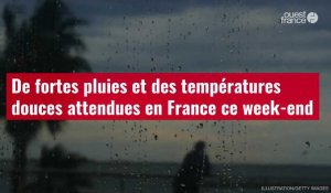 VIDÉO. De fortes pluies et des températures douces attendues en France ce week-end