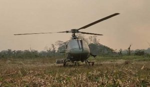 Brésil: les pompiers luttent contre des incendies records en Amazonie