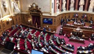 Vote au Sénat pour inscrire l'IVG dans la Constitution, le 28 février 2024