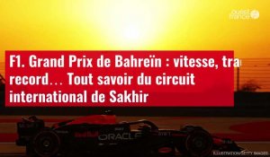 VIDÉO. F1. Grand Prix de Bahreïn : vitesse, tracé, record… Tout savoir du circuit internat