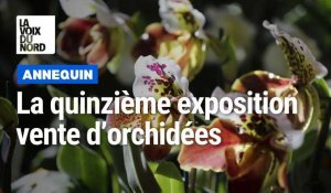 Exposition vente d’orchidées à Annequin