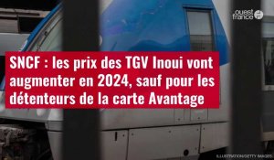 VIDÉO. SNCF : les prix des TGV Inoui vont augmenter en 2024, sauf pour les détenteurs de la carte Avantage