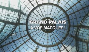 Dans les coulisses de la rénovation monumentale du Grand Palais à Paris