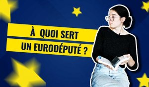 VIDÉO. Élections européennes : à quoi sert un député européen ?