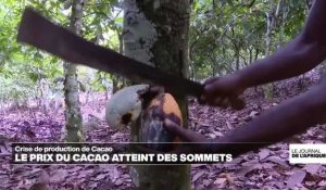 La filière du cacao traverse une crise au Ghana alors que les prix flambent