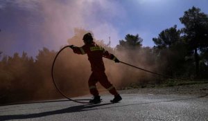 Feux de forêt : la Roumanie touchée, la Grèce se prépare