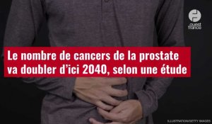 VIDÉO. Le nombre de cancers de la prostate va doubler d’ici 2040, selon une étude