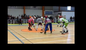 Le Roller Hockey prend d'assaut Vitry-le-François