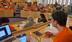 Rouen. 130 volontaires en service civique organisent des élections européennes fictives