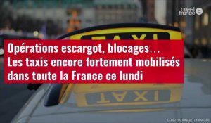 VIDÉO. Opérations escargot, blocages… Les taxis encore fortement mobilisés dans toute la France