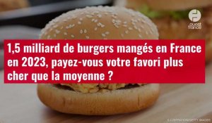 VIDÉO. 1,5 milliard de burgers mangés en France en 2023, payez-vous votre favori plus cher que la mo