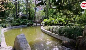 VIDÉO. Le jardin chinois va bientôt ouvrir après 7 ans de travaux 