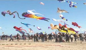 Le 44e festival international de cerfs-volants revient dans le nord de l'Italie