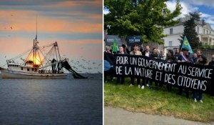 VIDÉO. Pourquoi la Bretagne a voté contre le vœu des écologistes sur les aires marines protégées