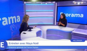 M. Noël (France Digitale) : "On n'aura pas de champion si on est client de solutions américaines !"