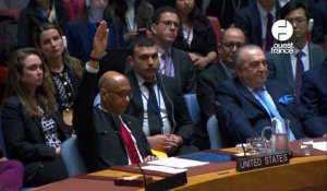 VIDÉO. Les États-Unis apposent leur véto à la demande d'adhésion de la Palestine aux Nations-Unies