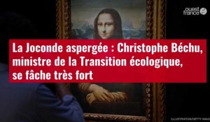 VIDÉO. La Joconde aspergée : Christophe Béchu, ministre de la Transition écologique se fâche 
