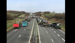 VIDÉO. Colère des agriculteurs : l'autoroute A87 bloquée à Cholet ce lundi