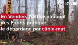 VIDÉO. En Vendée, l'Office national des Forêts transporte les arbres coupés par les airs
