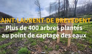 Plus de 400 arbres plantés à Saint-Laurent-de-Brèvedent