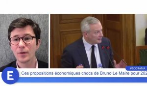Ces propositions économiques chocs de Bruno Le Maire pour 2027