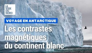 Antarctique : les contrastes magnétiques du continent blanc